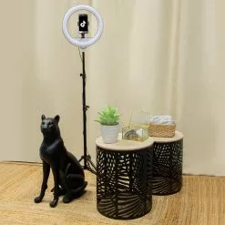 Goodmans Studio A Selfie - INTEMPO -Cadeaux Soldes Magasin 457566 1 large default