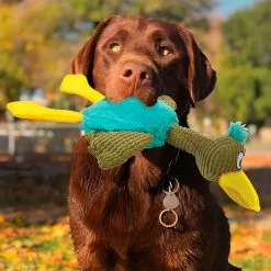 Nerf Jouet Peluche Pour Chien Canard