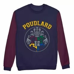 FFR Sweat Molleton Garcon Harry Pott - HARRY POTTER