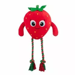 Nerf Jouet Chien Fruits Avec Corde -Cadeaux Soldes Magasin 486105 3 large default