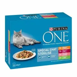 Effiles En Sauce - PURINA